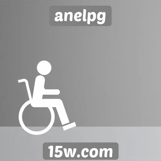 Acessibilidade do site anelpg atrai novos usuários